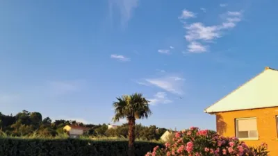 Chalet in Castilla La Mancha photo 32