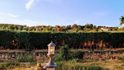 Chalet in Castilla La Mancha photo 33