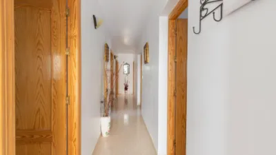 Chalet in South Of Spain photo 12