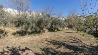 Chalet in South Of Spain photo 35