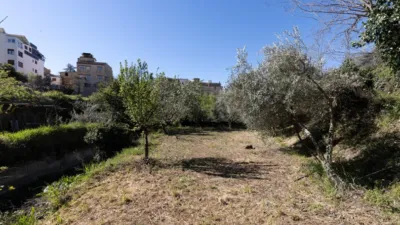 Chalet in South Of Spain photo 36