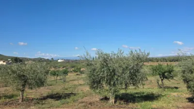 Chalet in Almería photo 17