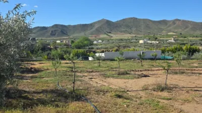 Chalet in Almería photo 5