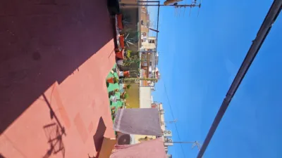 Apartment in Villena photo 15