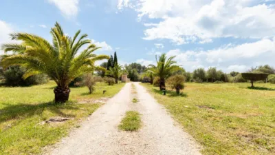 Chalet on Carrer de Felanitx photo 10
