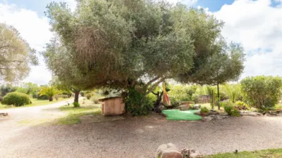 Chalet on Carrer de Felanitx photo 14
