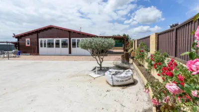 Chalet in Castilla La Mancha photo 32
