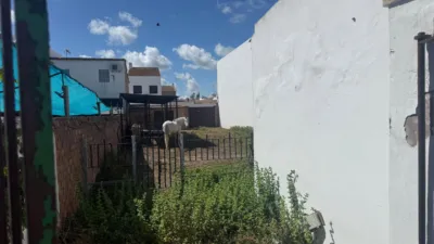 House in El Rocío photo 6