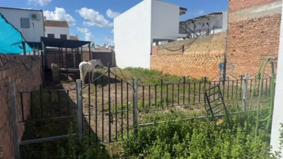 House in El Rocío photo 7