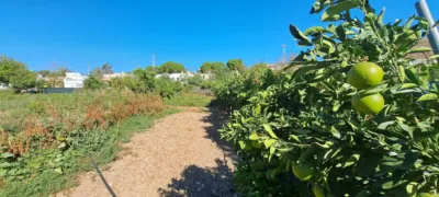 Casa en venta en Pedanías Este, Rural (Jerez de la Frontera) de 1.200.000 €