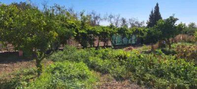 Casa en venta en Pedanías Este, Rural (Jerez de la Frontera) de 1.200.000 €