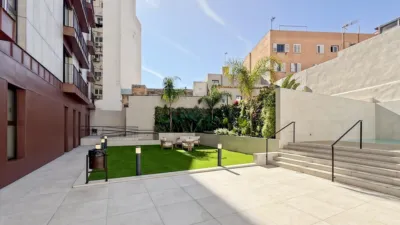 Apartment in Santa Catalina photo 17