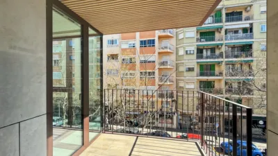Apartment in Santa Catalina photo 5
