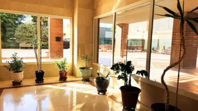 Apartment on Avenida de Santa Eugenia photo 26