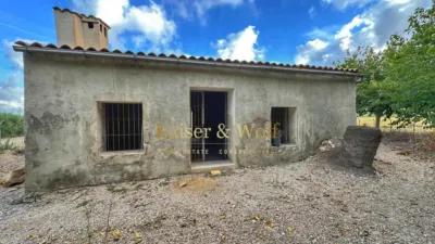 Casa – Elx - Elche - Vista 2