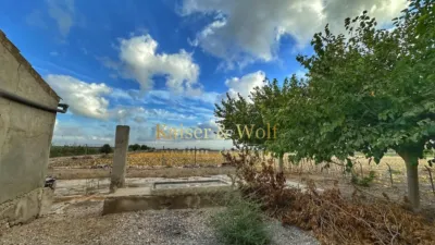 Casa – Elx - Elche - Vista 3