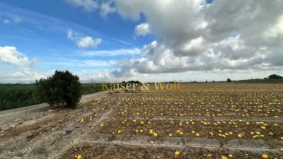 Casa – Elx - Elche - Vista 4