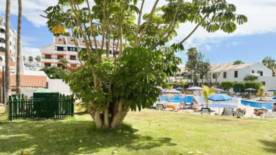 Penthouse at Playa de Las Americas Street, No. 3 photo 11