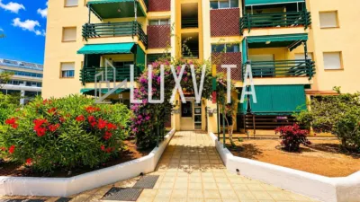Apartment on Avenida Juan Carlos I photo 25