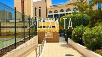 Apartment on Avenida Juan Carlos I photo 26