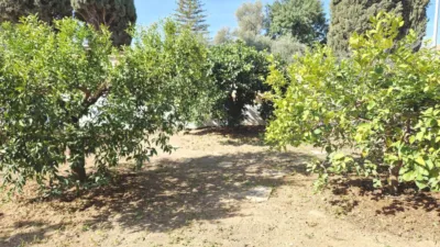 Chalet on Calle de la Jumilla photo 40