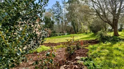 Terreno en venta en Calle Oca Abaixo - Vista 3
