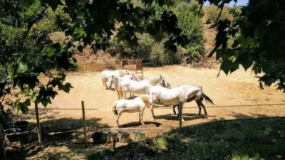 Finca rústica en venta en Málaga, Cortes-Huertas (Distrito Centro. Madrid Capital) de 695.000 €