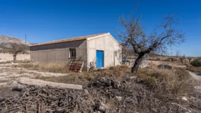 Rustic finca on Calle C Hoya de La Serna photo 15