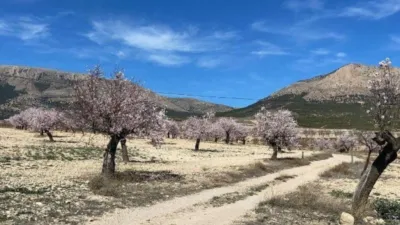 Rustic finca on Calle C Hoya de La Serna photo 20