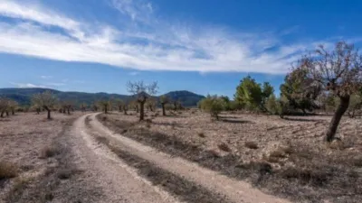 Rustic finca on Calle C Hoya de La Serna photo 21