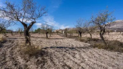 Rustic finca on Calle C Hoya de La Serna photo 23
