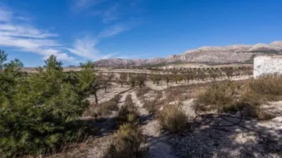 Rustic finca on Calle C Hoya de La Serna photo 26