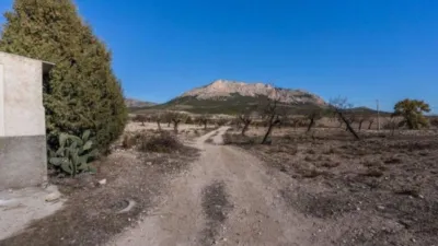 Rustic finca on Calle C Hoya de La Serna photo 27