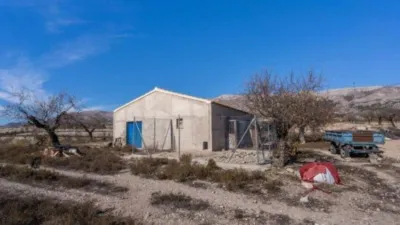 Rustic finca on Calle C Hoya de La Serna photo 28