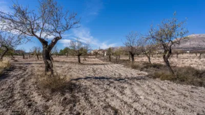 Rustic finca on Calle C Hoya de La Serna photo 34