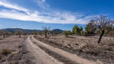 Rustic finca on Calle C Hoya de La Serna photo 38
