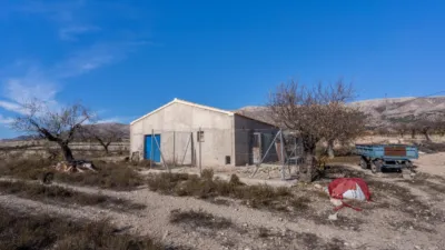Rustic finca on Calle C Hoya de La Serna photo 42