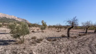Rustic finca on Calle C Hoya de La Serna photo 43