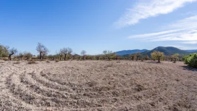 Rustic finca on Calle C Hoya de La Serna photo 48