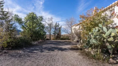 Rustic finca on Calle C Hoya de La Serna photo 49