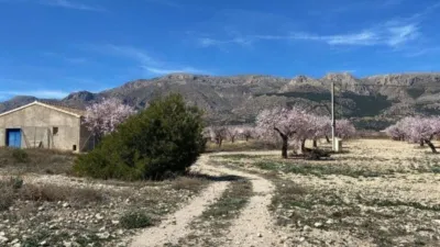 Rustic finca on Calle C Hoya de La Serna photo 4