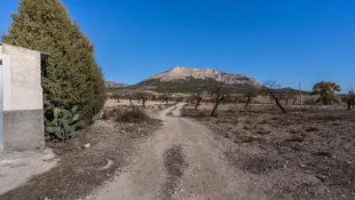 Rustic finca on Calle C Hoya de La Serna photo 52