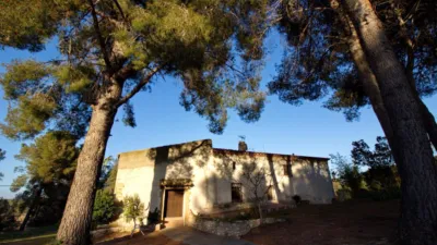 Rustic finca on Disseminat Street photo 15