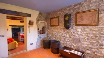 Rustic finca on Disseminat Street photo 37