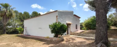 Rustic finca on Disseminat Street photo 4