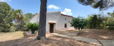 Rustic finca on Disseminat Street photo 8