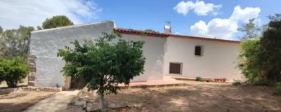 Rustic finca on Disseminat Street photo 9