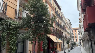 Apartamento en alquiler en Calle de Regueros - Imagen 12