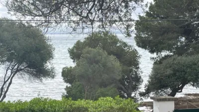 Chalet in Port d'Alcúdia - Platja d'Alcúdia photo 30
