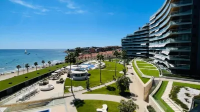 Pis – Alicante - Alacant - Vista 4